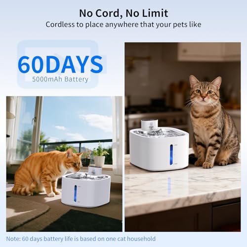 Cat Water Fountain Wireless