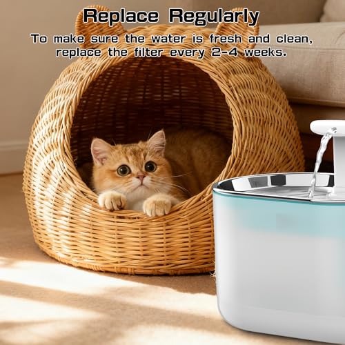 Cat Water Fountain Filters