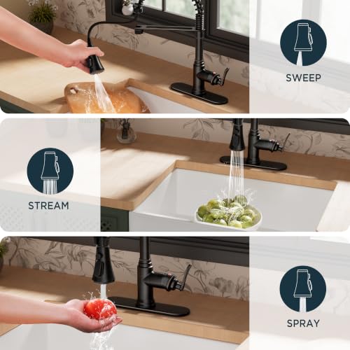 Rustic Kitchen Faucet with Pull Down Sprayer