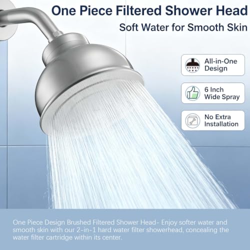 Stainless Steel Shower Head with Filters