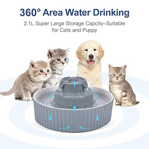 Pet Drinking Fountain (70 Fl Oz)