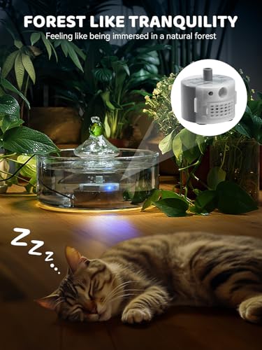 All Glass Cat Water Fountain