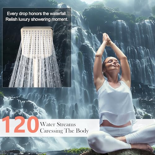 Filtered Shower Head with Handheld