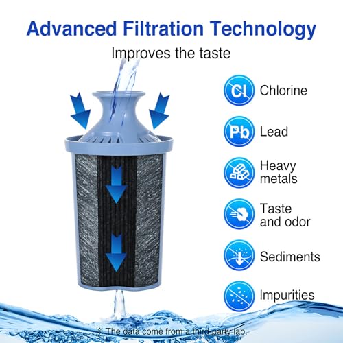 Long Lasting Water Filters Compatible Brita Filter Replacement Reduces Lead (2 Count)