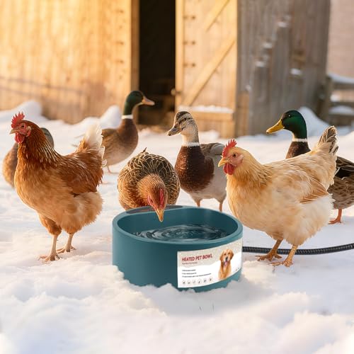 Heated Water Bowl for Outdoor Cats