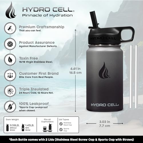 Stainless Steel Insulated Water Bottle with Straw