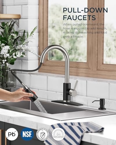 Kitchen Faucet with Soap Dispenser