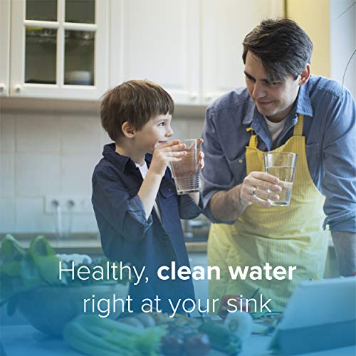 RF 20 Water Filter Replacement for Circle