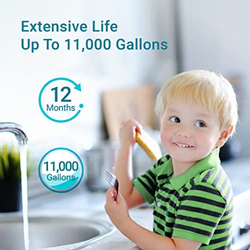 RF10 Water Filter Replacement for Waterdrop 10UA