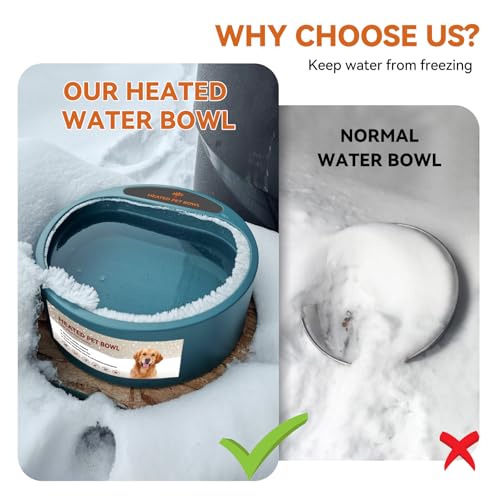 Heated Water Bowl for Outdoor Cats