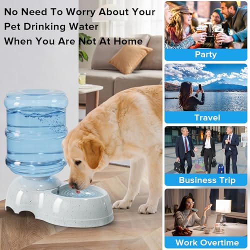 3 Gallon Large Dog Water Dispenser