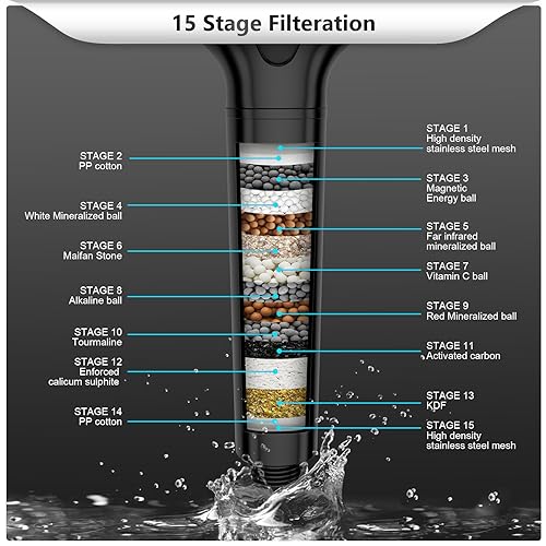 Filtered Shower Head with Handheld