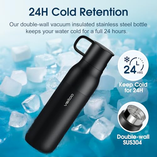 S2 25oz Insulated Stainless Steel Filtered Water Bottle with Straw
