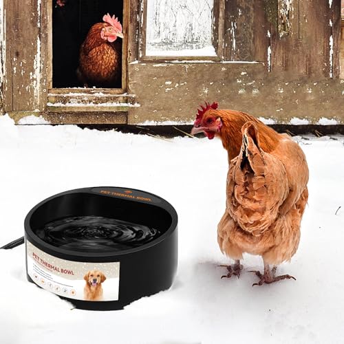Heated Water Bowl for Outdoor Cats