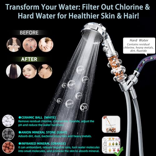 Filtered Shower Head with Handheld