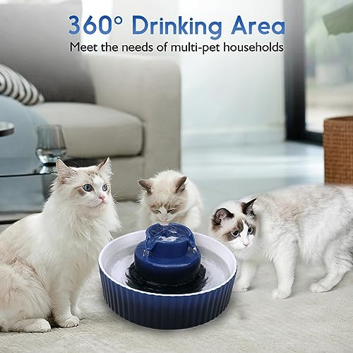 Ceramic Cat Water Fountain