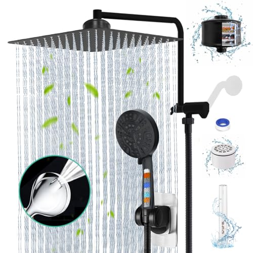 Matte Black 12" Filter Rain Shower Head with Handheld Spray Combo