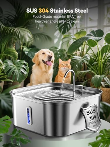 Large Dog Water Fountain 14L