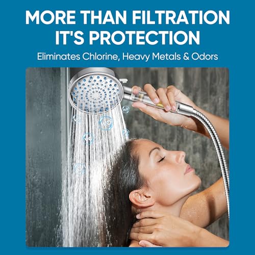 Filtered Shower Head with Handheld