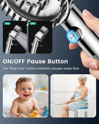 Filtered Shower Head with Handheld