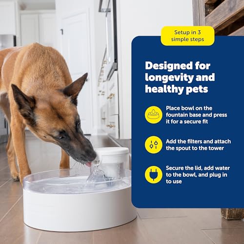 Outlast Pumpless Dog Water Fountain