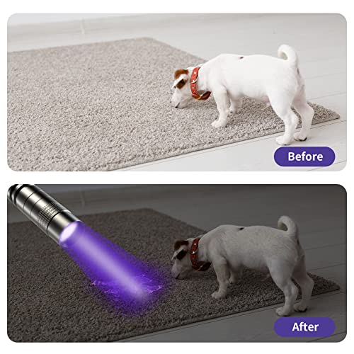 UV Black Light Flashlight