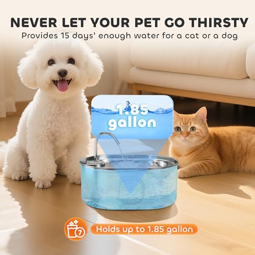 Cat Water Fountain