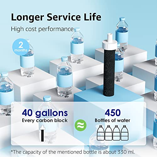 Water Bottle Filter (5 Count)