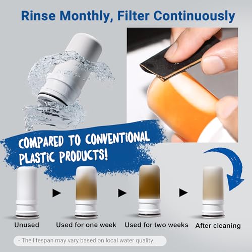 Ceramic Filter Replacement for LCF (4 Count)