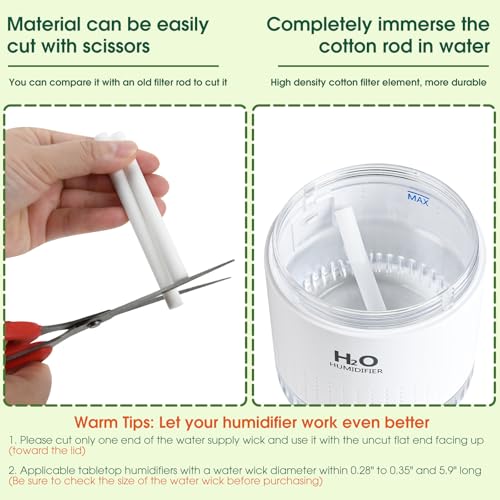 10 Pieces Humidifier Sticks Filter (10 Count)