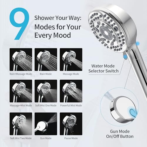 Filtered Shower Head with Handheld