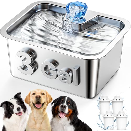 Large Dog Water Fountain Dispenser