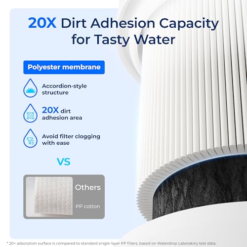 I2000 2 Water Filter Replacement for Pentair® Everpure