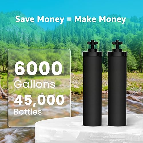 Black and Fluoride Water Filter (4 Count)