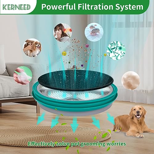 Hepa Filter Sponge Replacement Accessories for Neakasa (10 Count)
