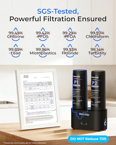 DLG P Under Sink Water Filter System