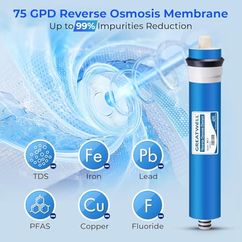F28D75 3 Year DeIonization Replacement Filter Set Fit RCC7D 75 GPD 6