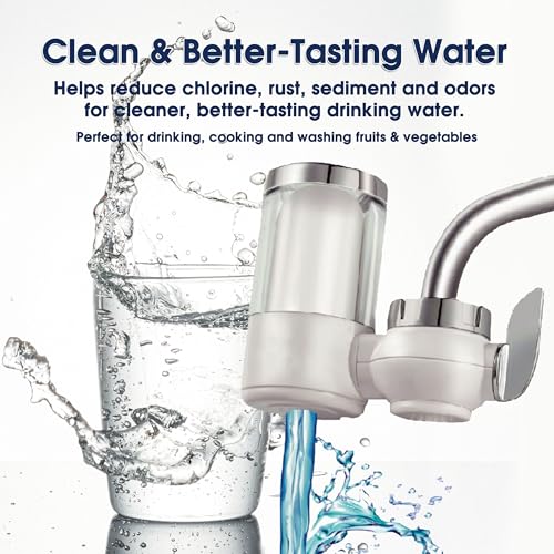 Universal Faucet Mount Replacement Filter Cartridge (2 Count)