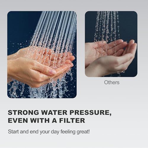 Filtered Shower Head with Filter for Hard Water Softening