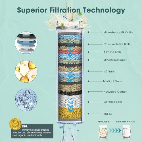 Filtered Shower Head with Handheld