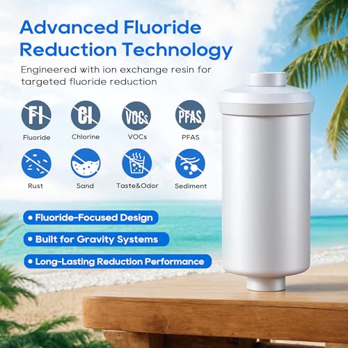 Fluoride Water Filter (3 Count)
