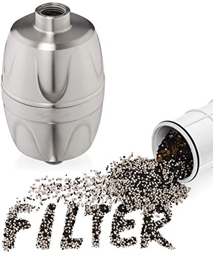 Chlorine Shower Water Filter