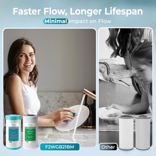F2WGB21BM 2 Stage Whole House Water Filter Replacement for WGB21BM (10 Count)