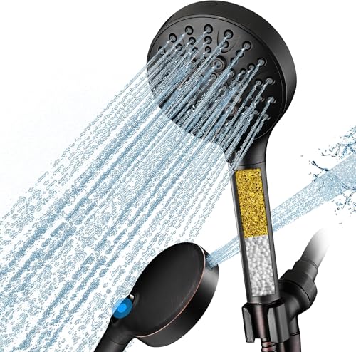 Filtered Shower Head with Handheld