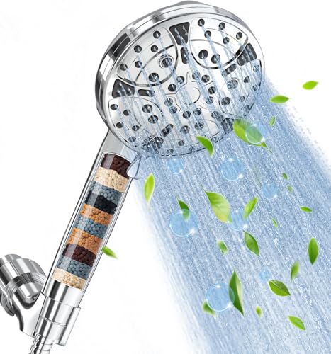 Filtered Shower Head with Handheld