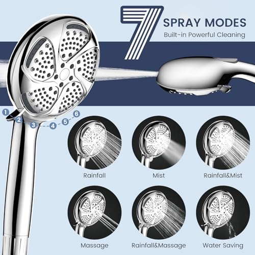 Filtered Shower Head with Handheld