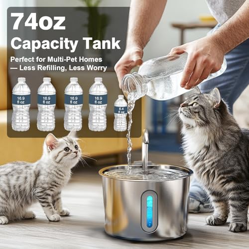 Cat Water Fountain