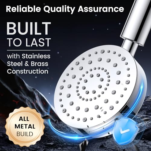 Filtered Shower Head with Handheld