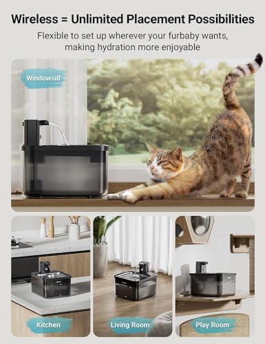 Cat Water Fountain Cordless