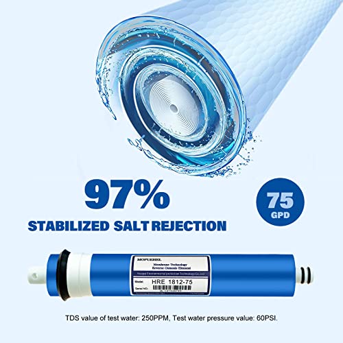 75 GPD RO Membrane Filter Replacement (2 Count)